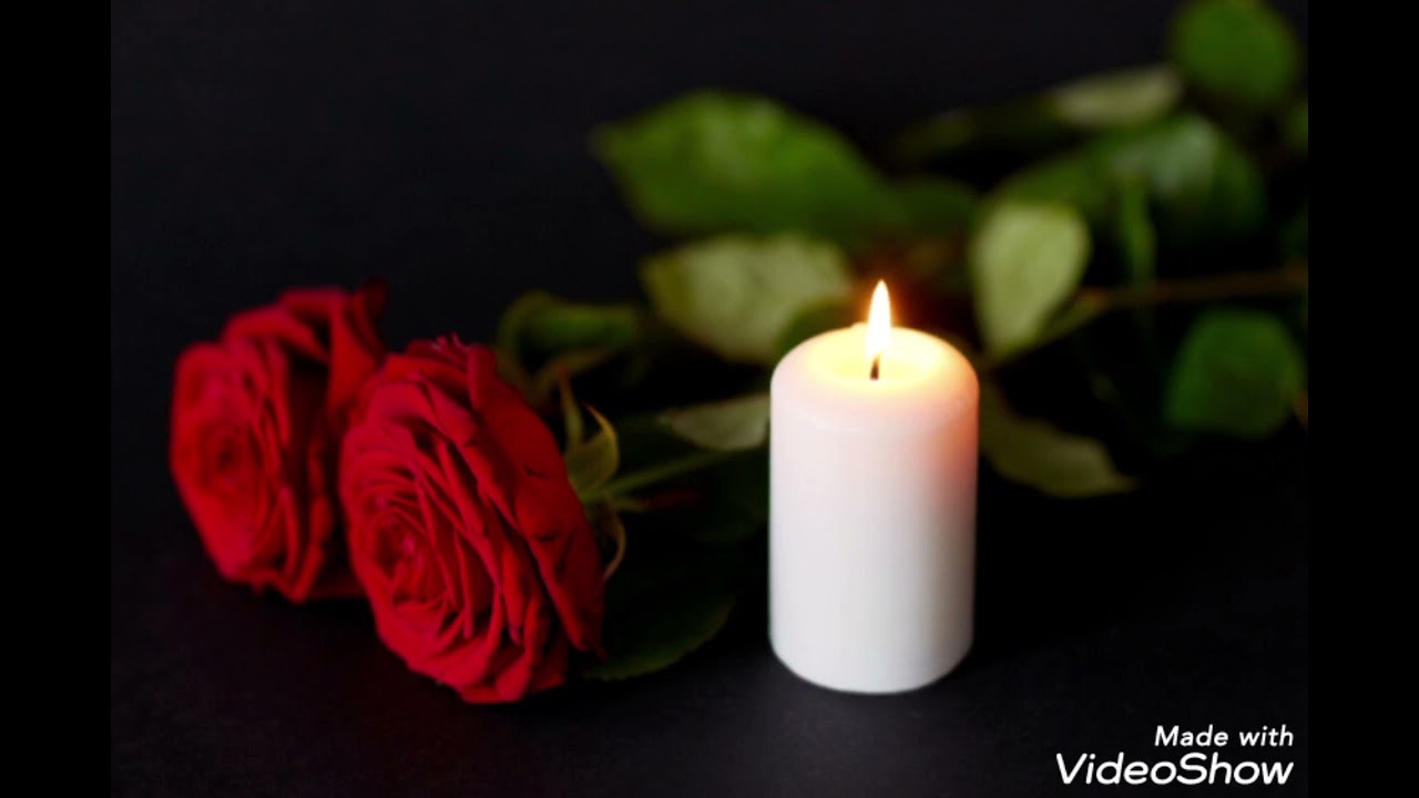 Monatreba(მონატრება) Tato Gabelia: სიმღერა ეძღვნება  მაია ჯაიანის ხსოვნას🖤💔