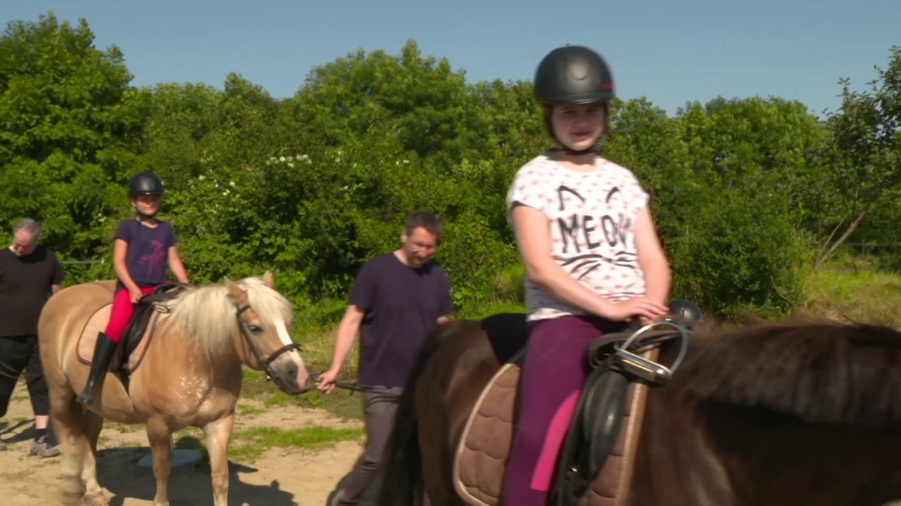 Meislahnhof Fehmarn Pony Reiten Pferde Reiten Ferien auf dem Bauernhof