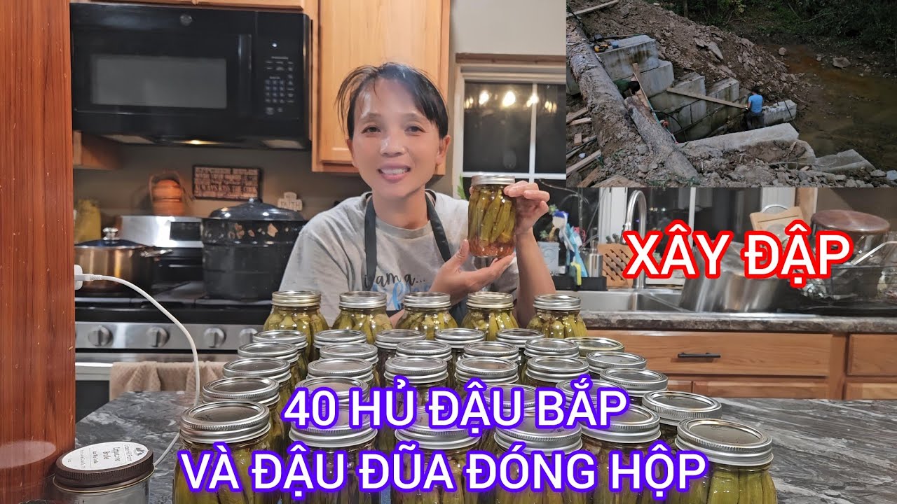 Chồng Amish Vất Vả Xây Đập Ao, Vợ Việt Hoàn Thành 40 Hộp Đậu Muối Chua | Cuộc Sống Mỹ