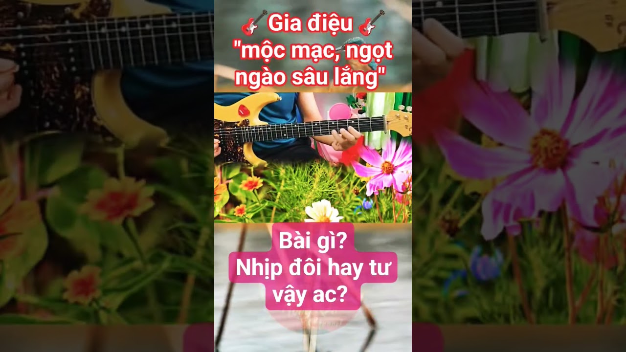 🎶Giai điệu dân gian mộc mạc, ngọt ngào miền sông nước 🎶