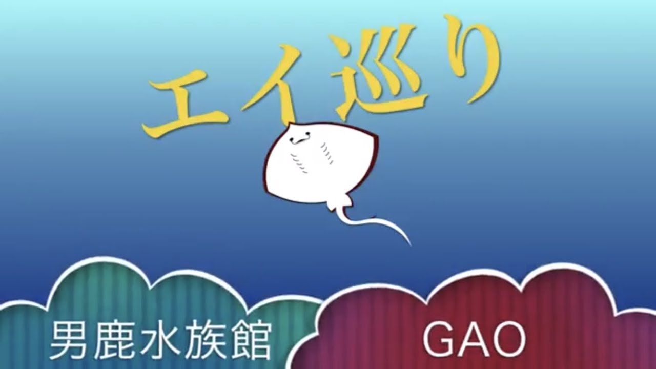 エイ巡り　男鹿水族館GAO
