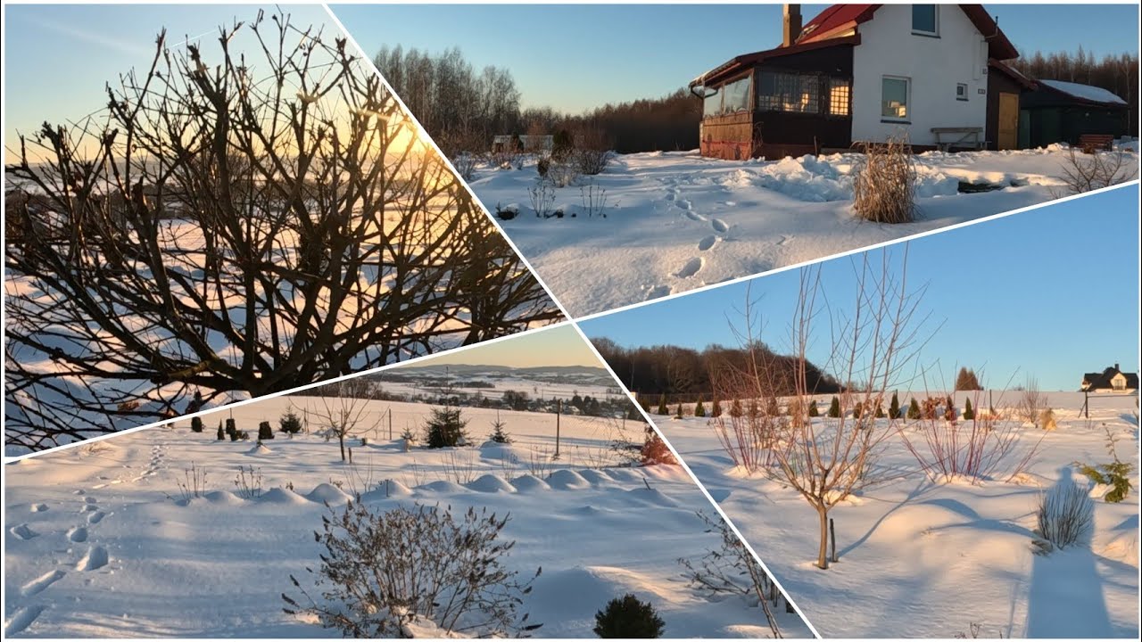 Styczniowy spacer - zimowa panorama mojego ogrodu. 