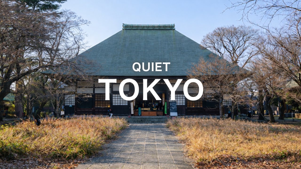 ［Tokyo］JIYUGAOKA｜Glorify me in the elegant city｜Cafes, shrines, shops, etc.