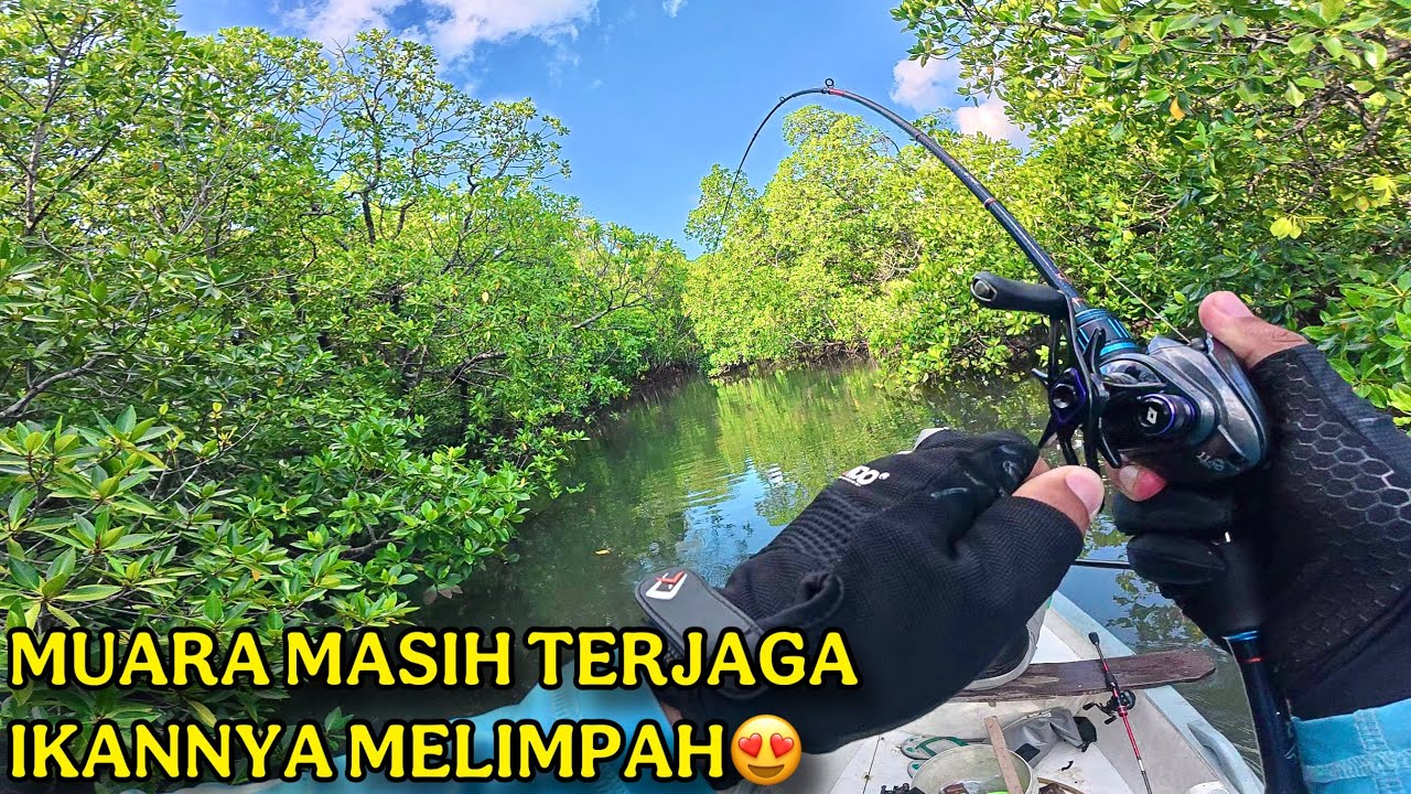 MUARA MASIH ALAMI HASILNYA MELIMPAH ..!!! CASTING MJ KERAPU DI MUARA SUNGAI MANTAP
