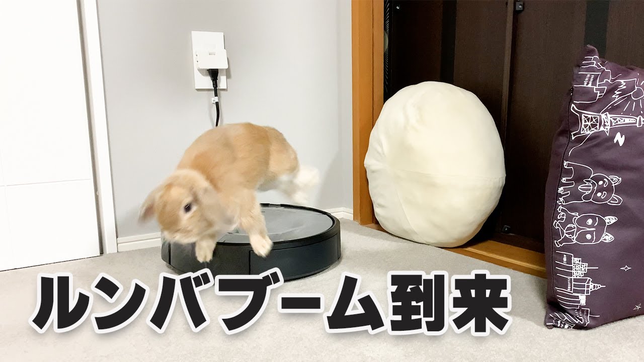 ルンバブーム到来