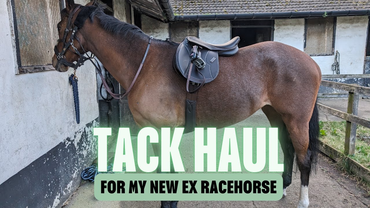 TACK HAUL for my new Ex Racehorse! ||  @peatheexracehorse