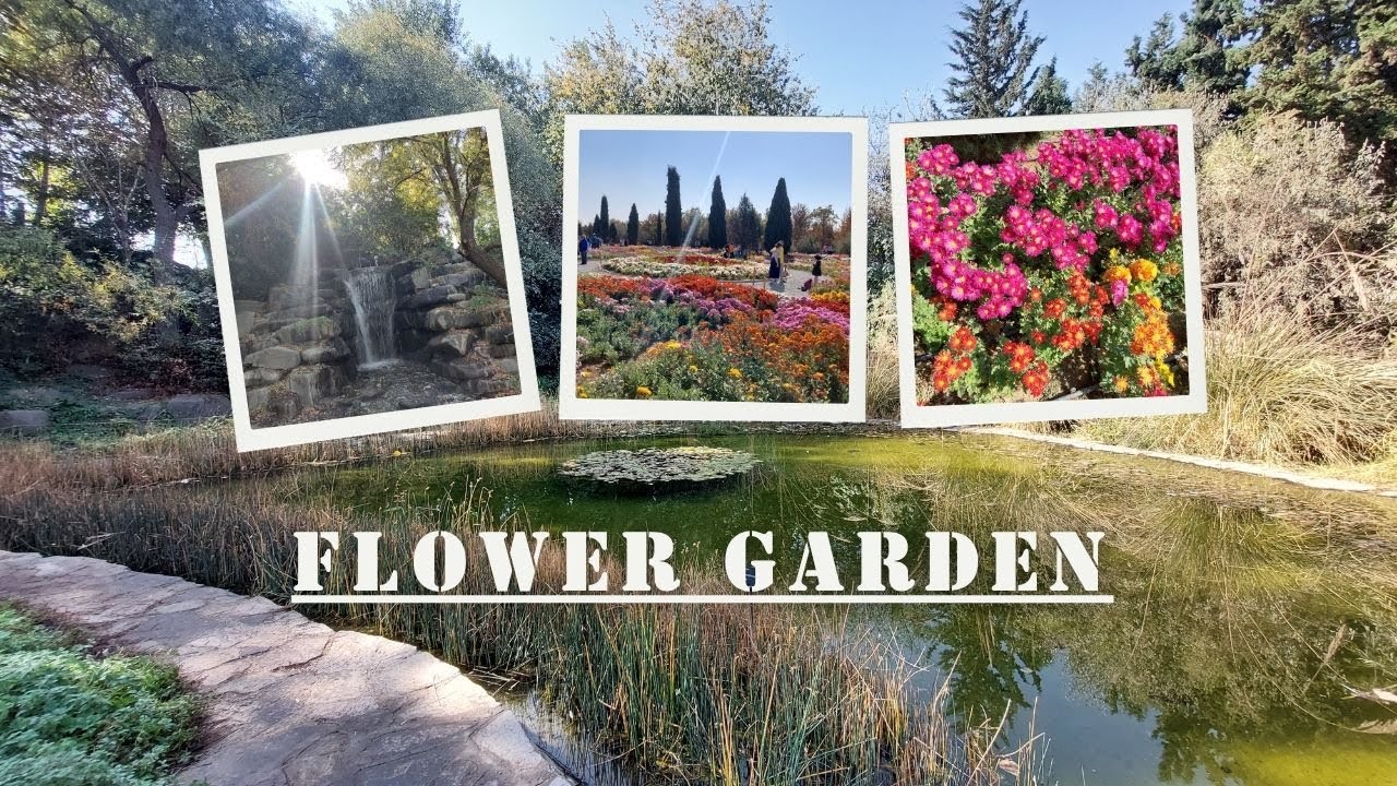 Flower Garden