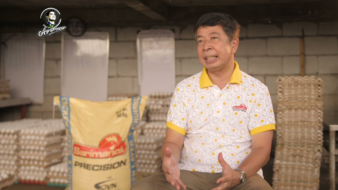 SariPreneurs From Bulacan Give Tips on Successfully Managing Layer Farms