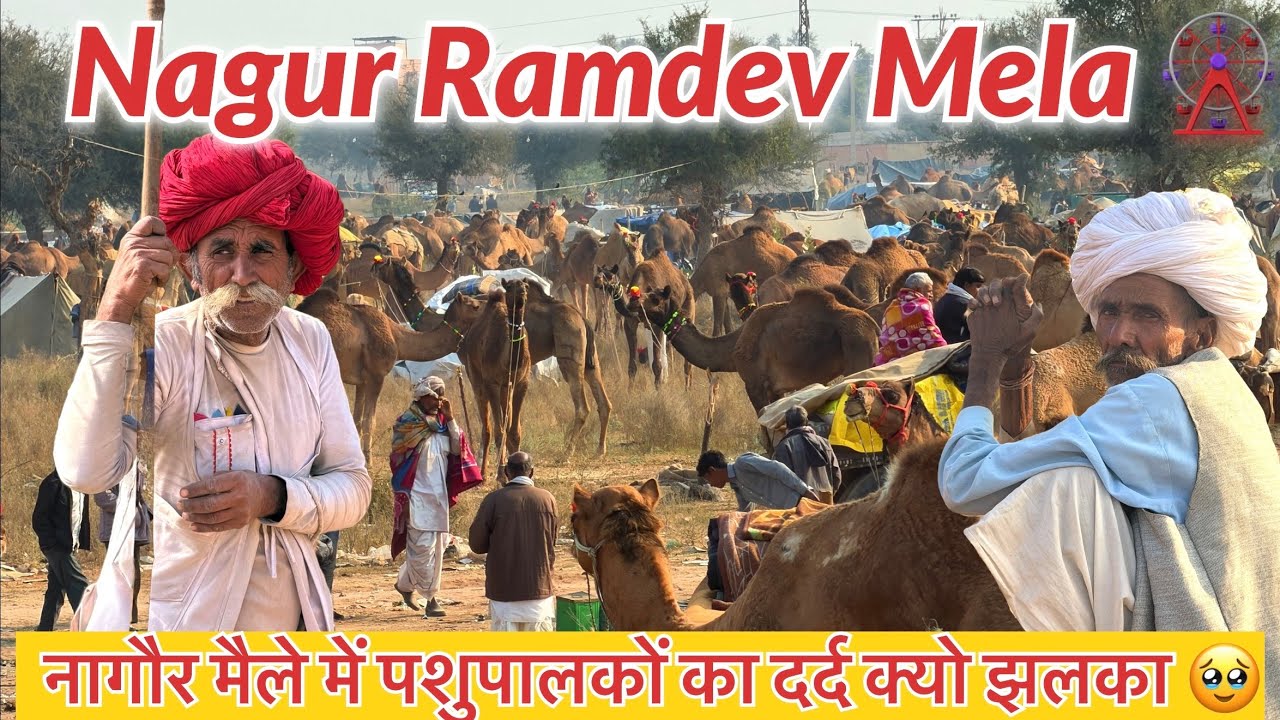 नागौर मैले में पशुपालकों का दर्द क्यो झलका 🥹| Nagur Ramdev Mela 🎡 2026