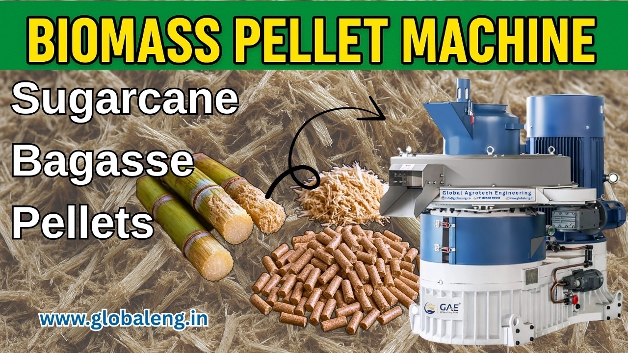 Best Sugarcane Bagasse Pellets Machine |Live Demo, Price & Manufacturing Process #yulong#pelletmill