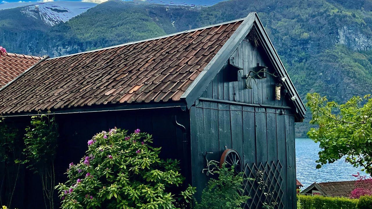 NORWAY 2022 06 - 4    AURLAND 2