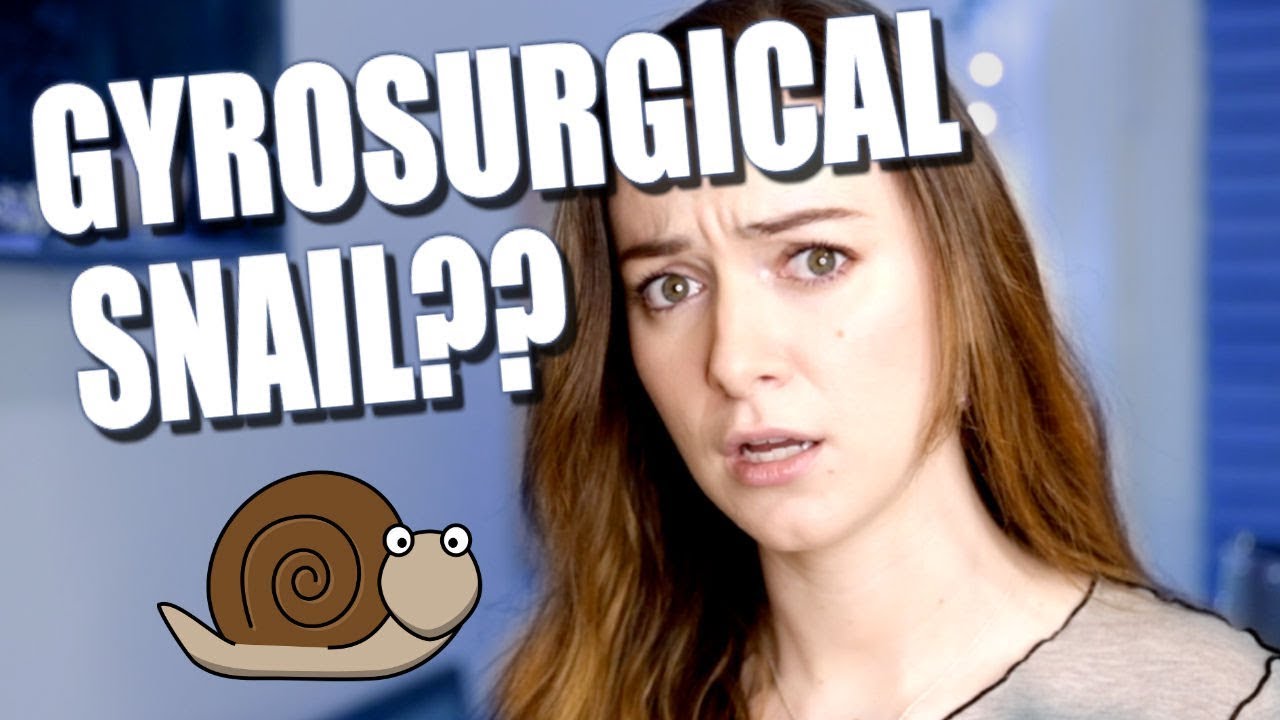 GOOGLE TRANSLATE ASKS YOUR QUESTIONS ep. 2!!
