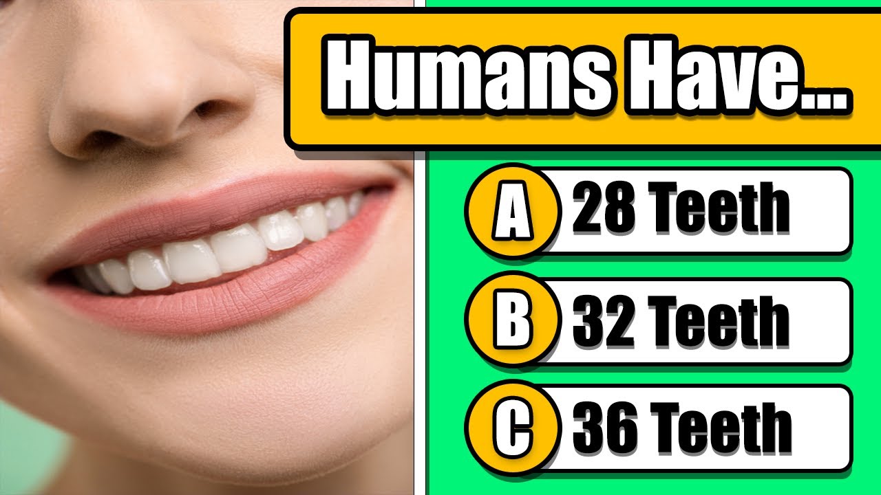 General Knowledge Quiz #7 -  Human Body And Biology