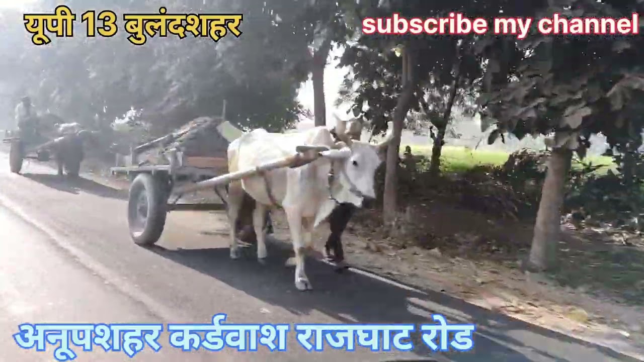 #भोपतपुर #राजघाट रोड#यूपी 13#बुलंदशहर #