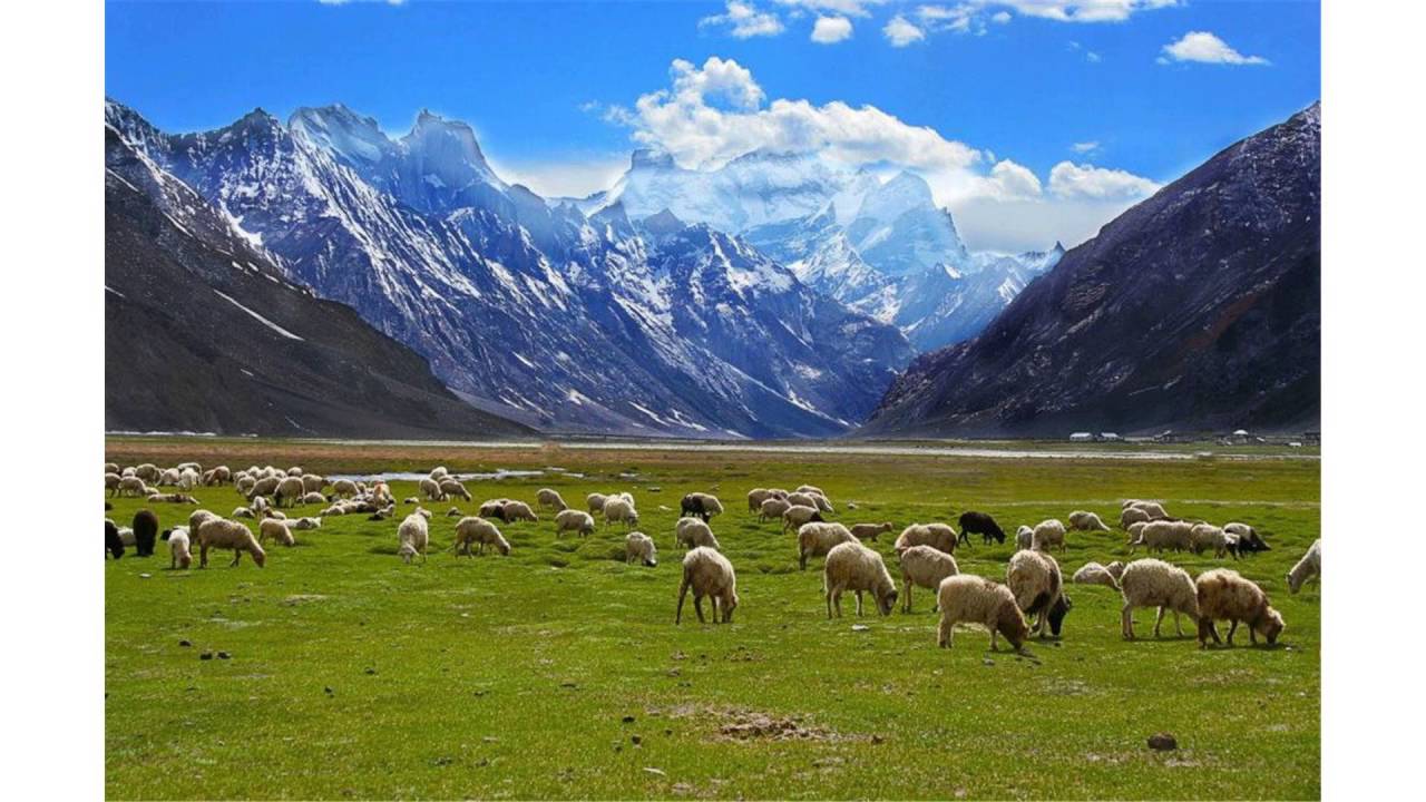 Rangdum