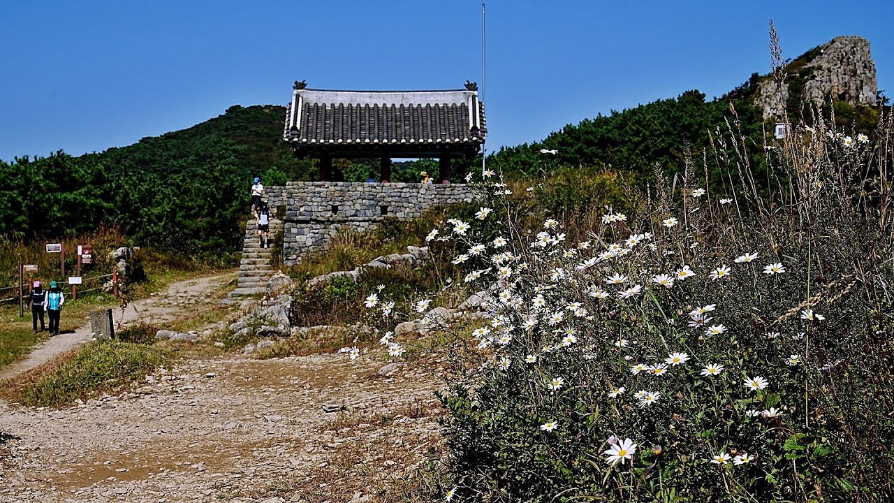 한국의 야생화 - 구절초(Dendranthema zawadskii var. latiloba)