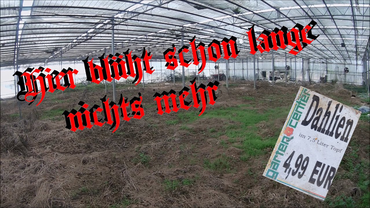 Lost Places / Die verlassene Gärtnerei / Unterwegs mit Emsland Explorer / Urban Explorer