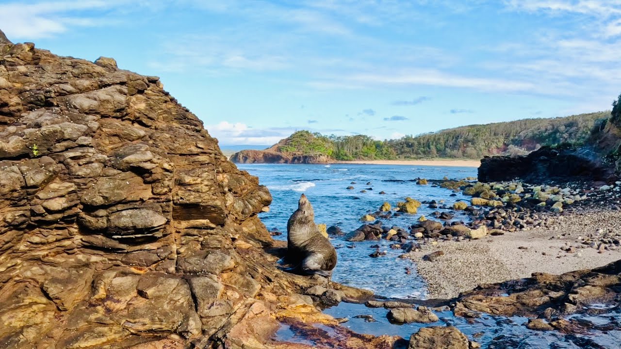 Hike 20: Exploring rugged coastline along Australia’s NSW South Coast