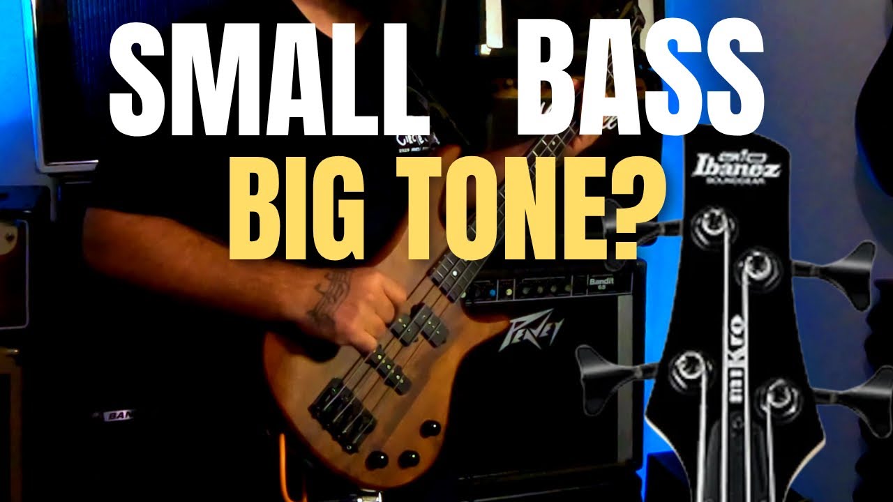 Ibanez Mikro Bass: маленький бас, мощный звук?