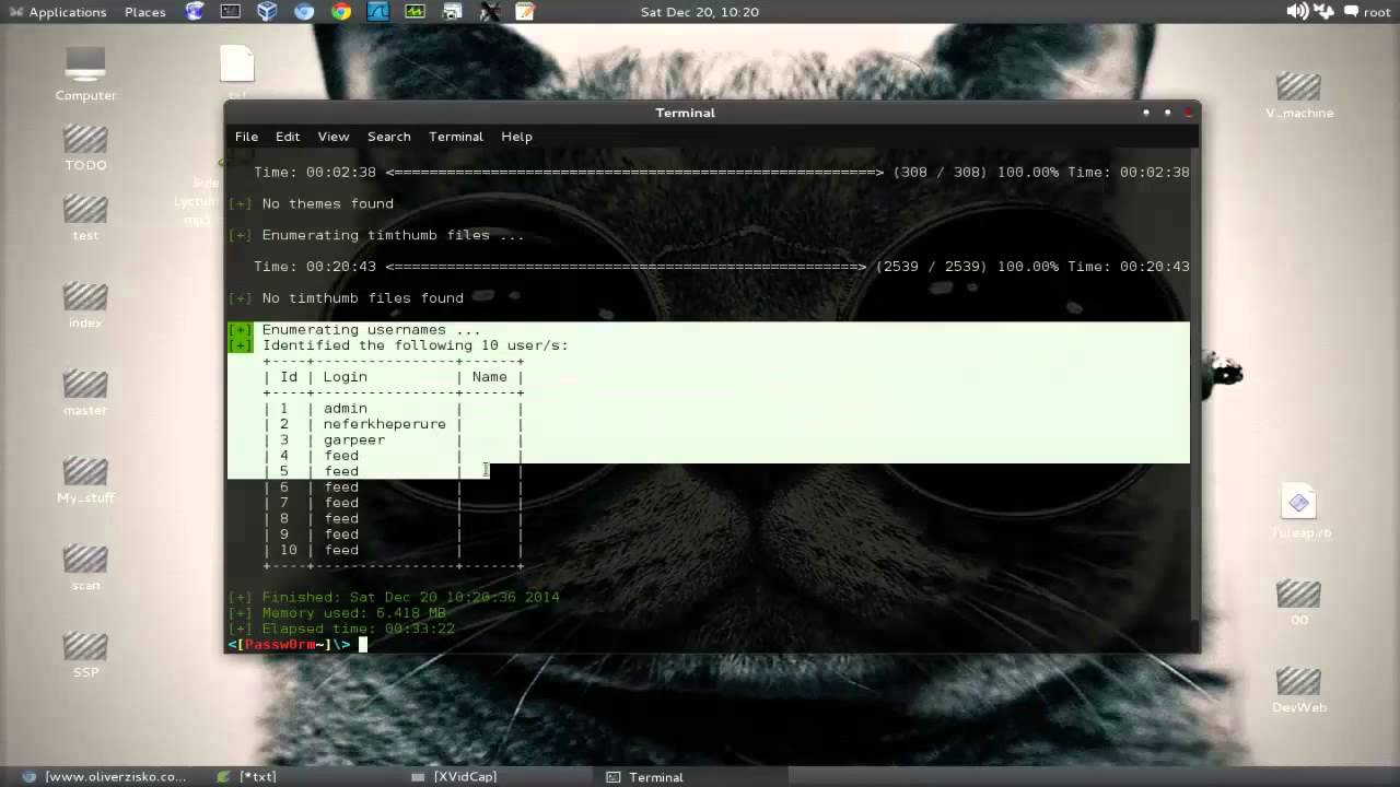 How to use WPScan
