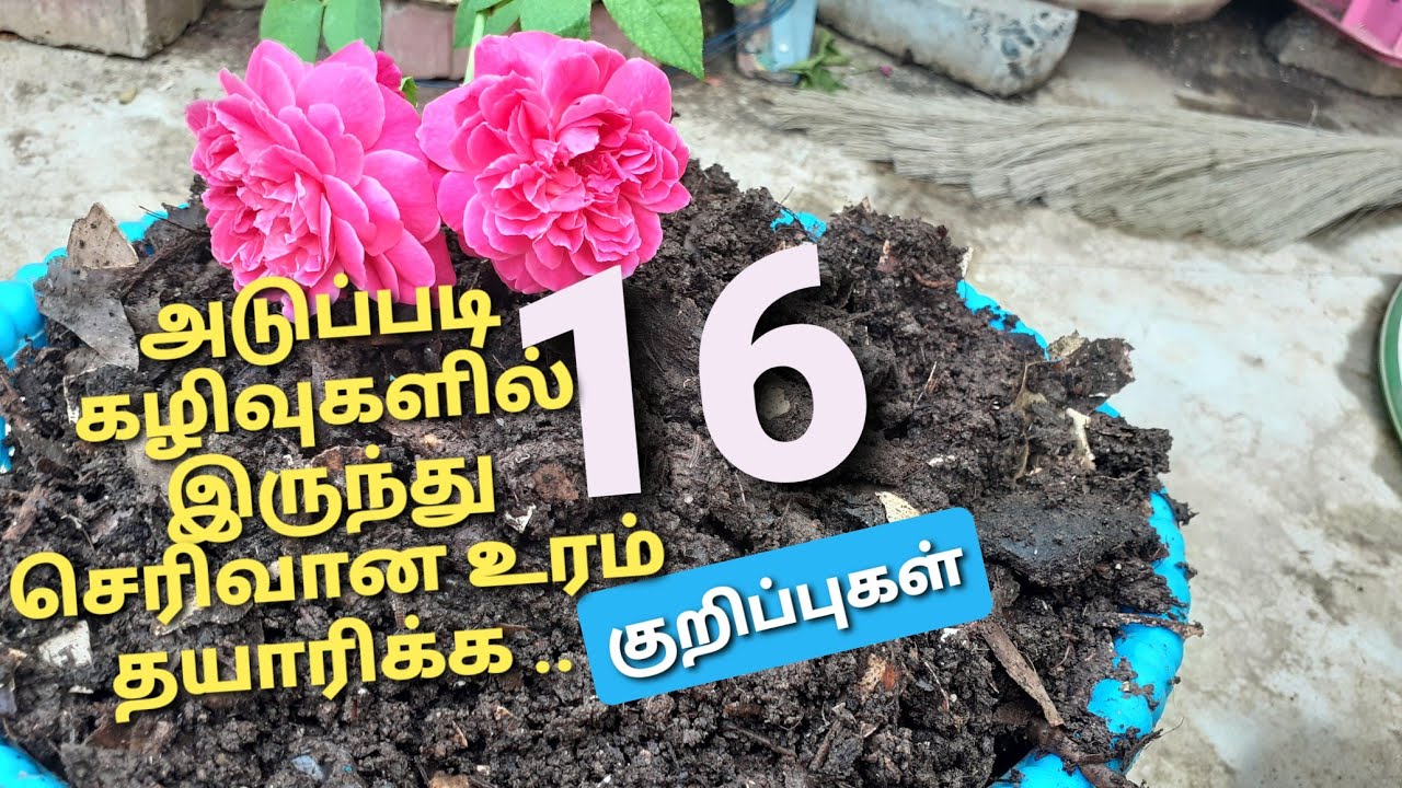 16 tips to make healthy compost from kitchen waste in Tamil