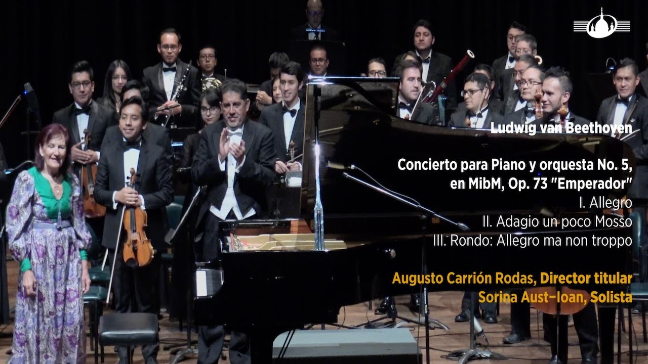 Sorina Aust-Ioan | Ludwig van Beethoven