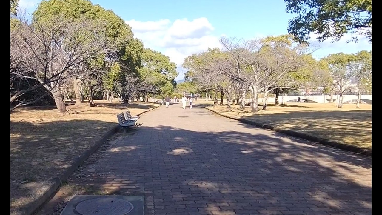 Relaxing Walk in Japan | Peaceful Afternoon at Miyuki Park, Toyohashi [ASMR]