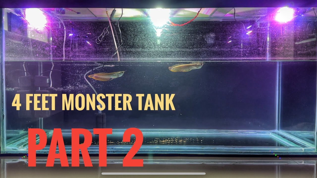 4 feet monster tank 💀 setup ( Part 2 ) | Arowana tank | By Vishal