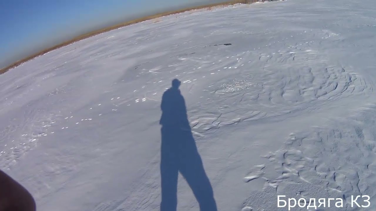 Охота на Зайца. Многоследица.