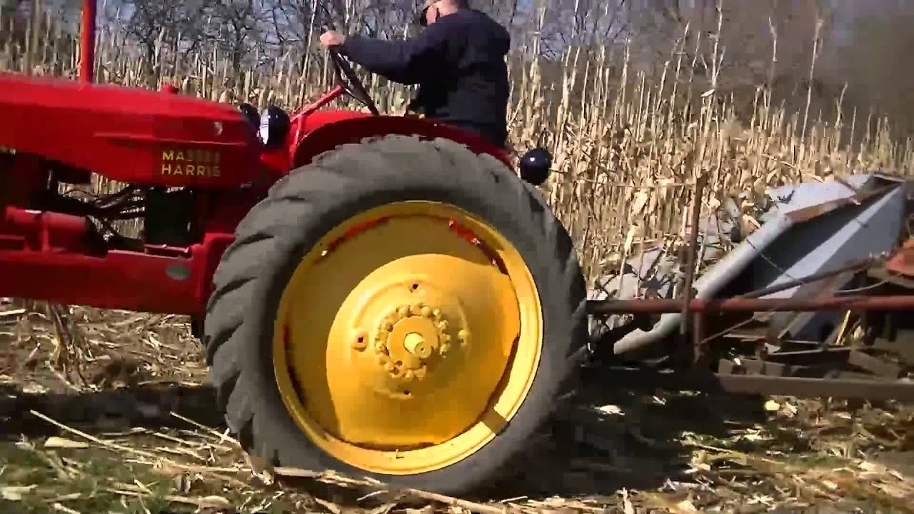 Massey Harris 30 picking corn with New Idea one row ear corn picker