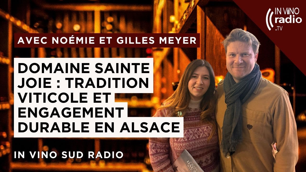 Domaine Sainte Joie : tradition viticole et engagement durable en Alsace