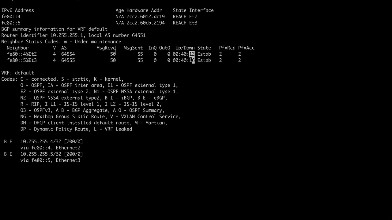 BGP IPv6 Link Local Peers Discovery