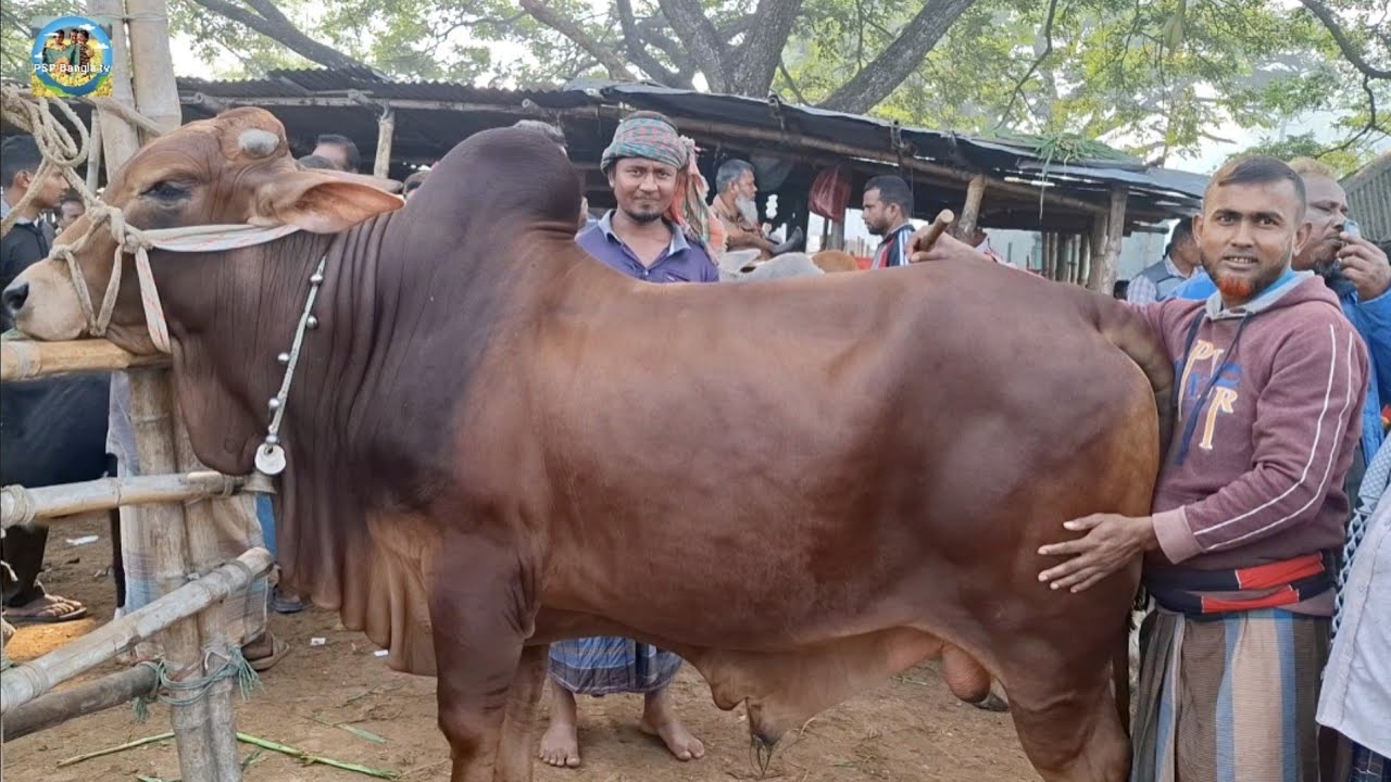 @ শুক্রবার ৫ ডিসেম্বর