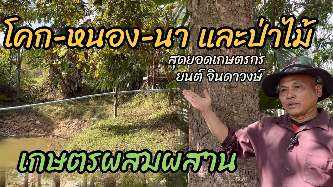 เยี่ยมชมโคก-หนอง-นา แปลงเกษตรผสมผสานและป่าปลูก/ ยนต์ จินดาวงษ์