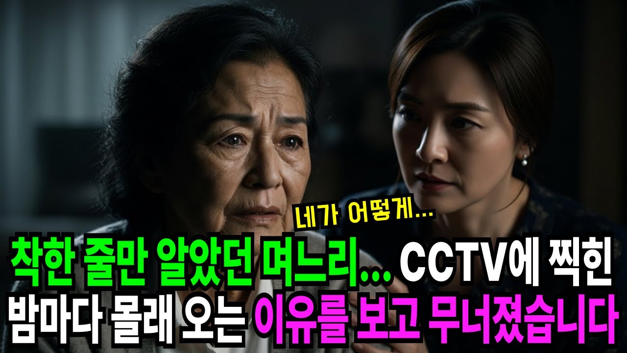 밤마다 집에 들어오던 며느리, 어느 날 CCTV를 확인하고 다리가 풀렸습니다 | 주제/장르 | 시니어 사연 | 감동 사연 | 키워드 확장형 |