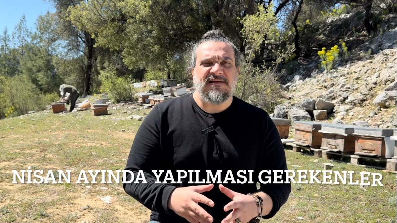 Arılara nisan ayında yapılması gerekenler