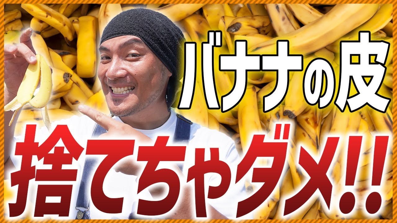 【バナナで元気野菜！】バナナの皮で肥料を作ろう！簡単肥料の作り方 ！