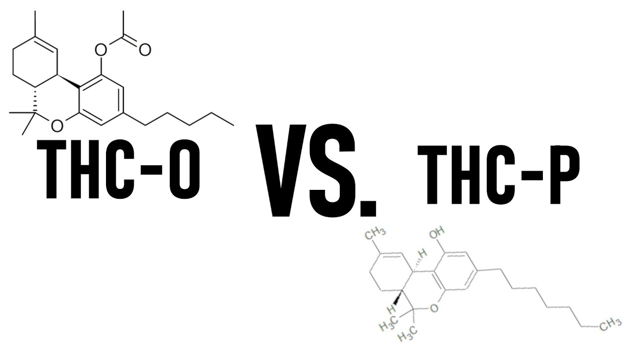 What Should You Buy?!?! | THC-O vs. THC-P