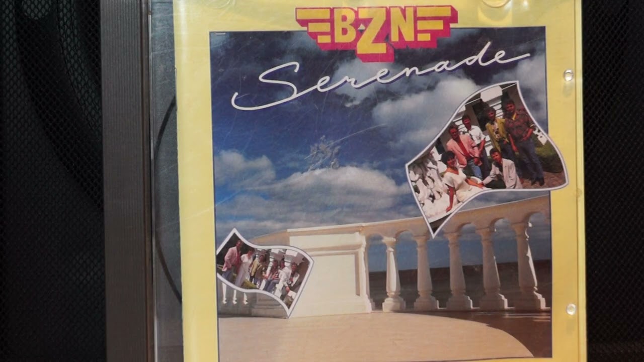 BZN band zonder naam met Serenade never let me down