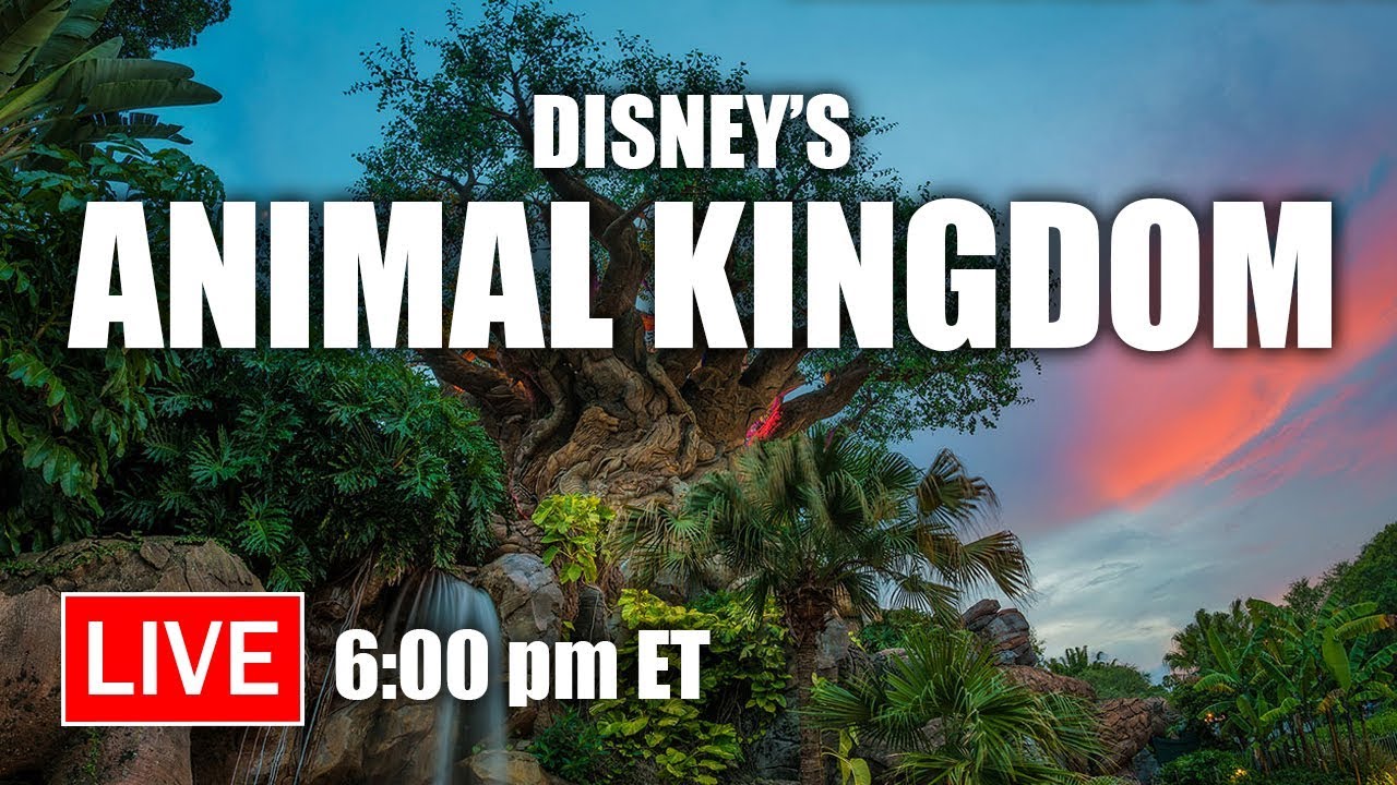 🔴 Live: Fun at Disney’s Animal Kingdom | Walt Disney World Live Stream
