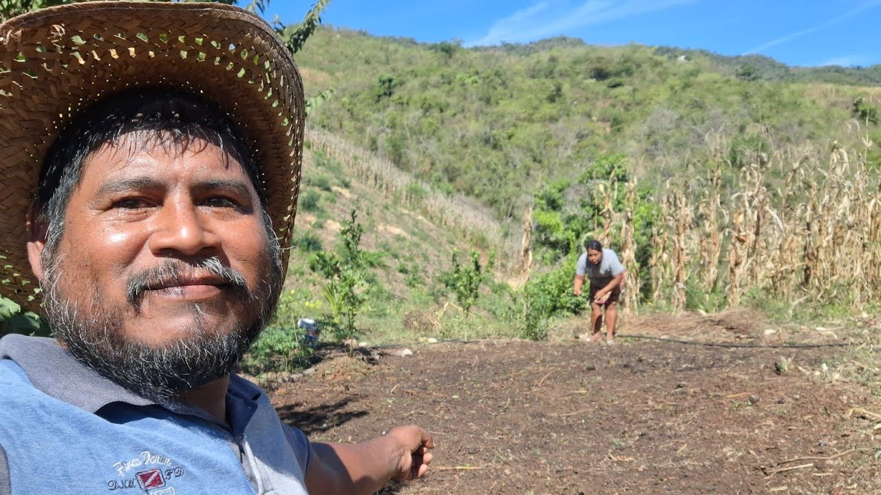 Asi sembramos pepiza con doña rosalina 🌱🤠👍