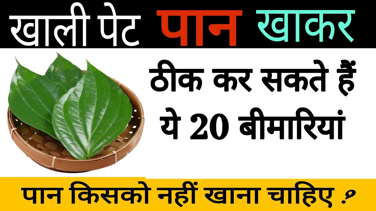 खाली पेट पान का पत्ता खाने से किस बीमारी में आराम मिलता है?पुरुषों में पान के फायदे|Sehat Ki Kunji