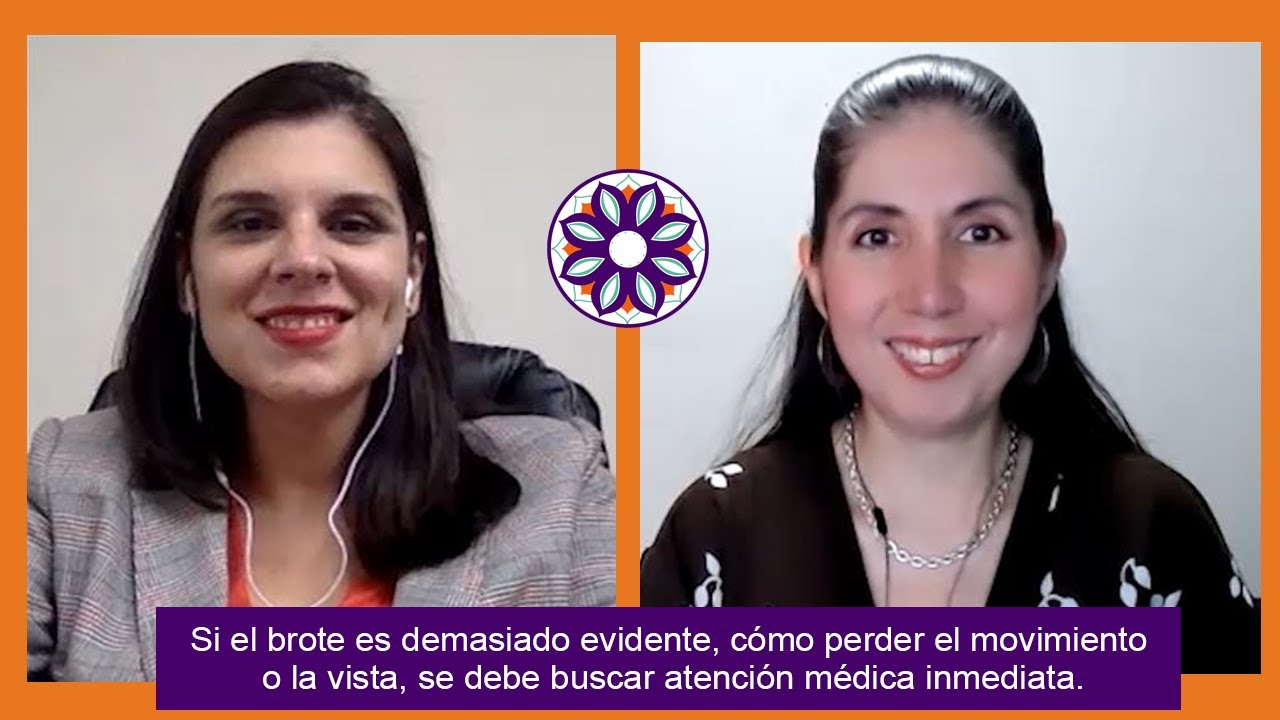 ¿Qué es un brote?