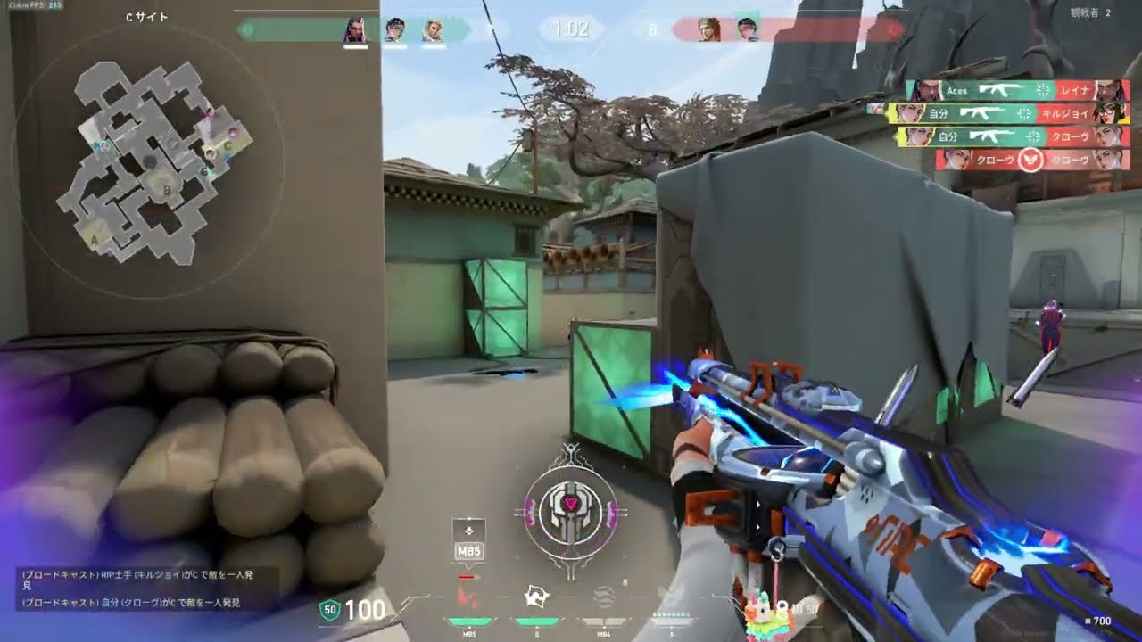 HIKARI  valorant montage