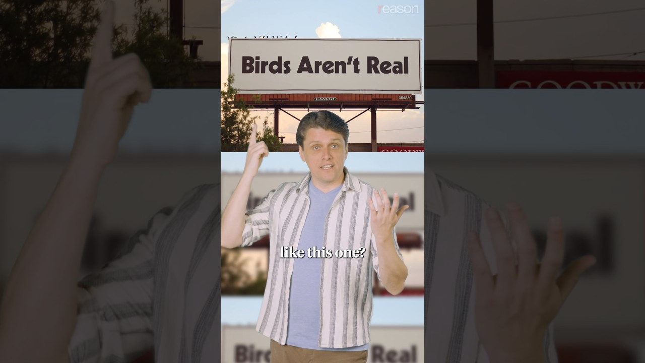 Why did the CIA build fake birds?