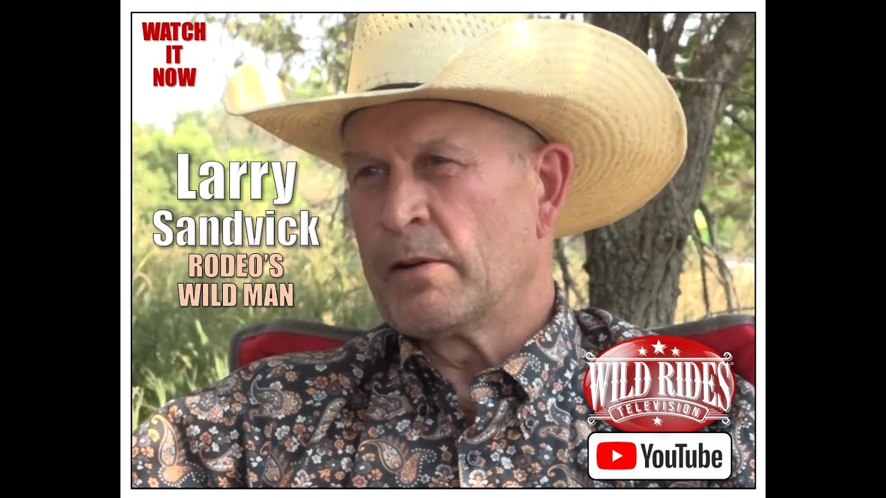 12X NFR BAREBACK BRONC RIDER LARRY SANDVICK