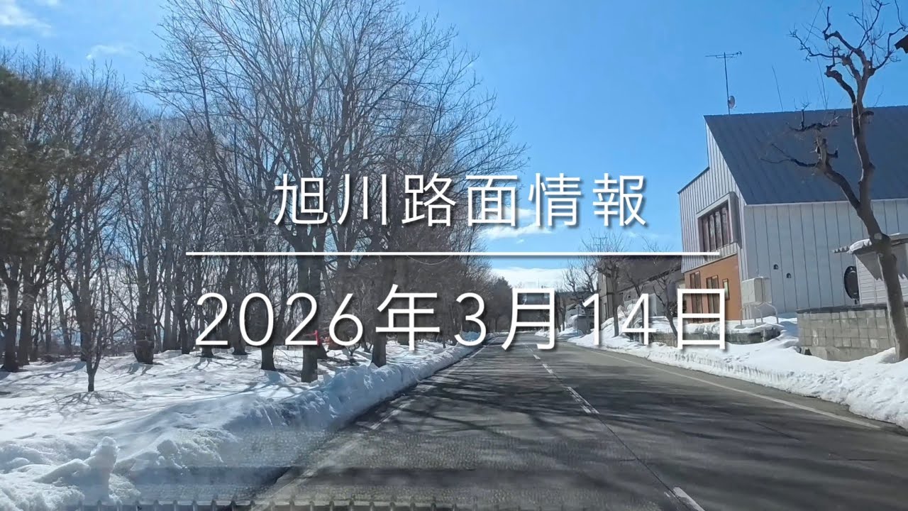 ドライブ日和😎 でもガソリン価格が・・2026年3月14日 旭川路面情報 