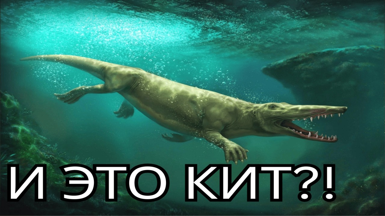 Эволюция Млекопитающих Как Вид Искусства | История Ранних КИТОВ