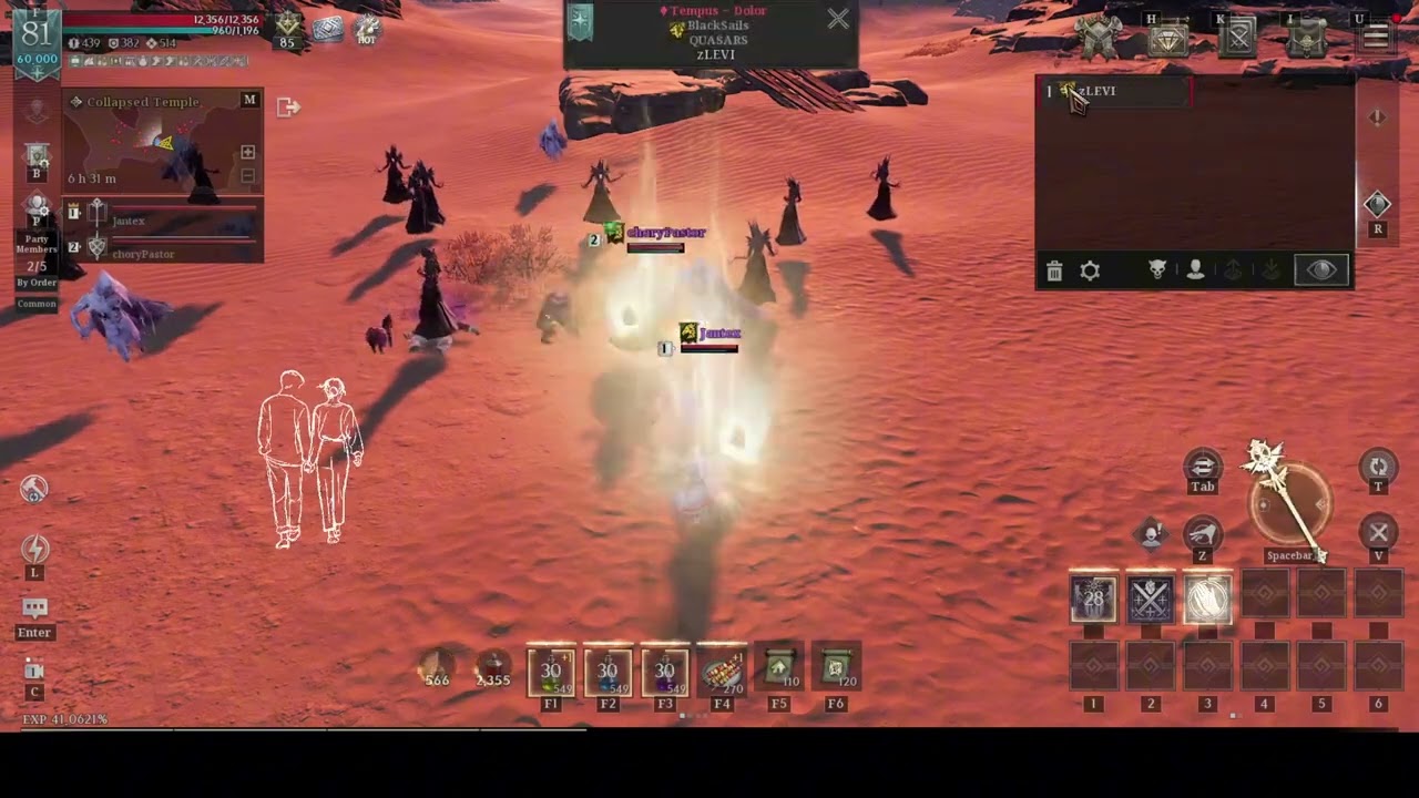 Raven2 collective killing of the enemy Divine Caster Vanguard