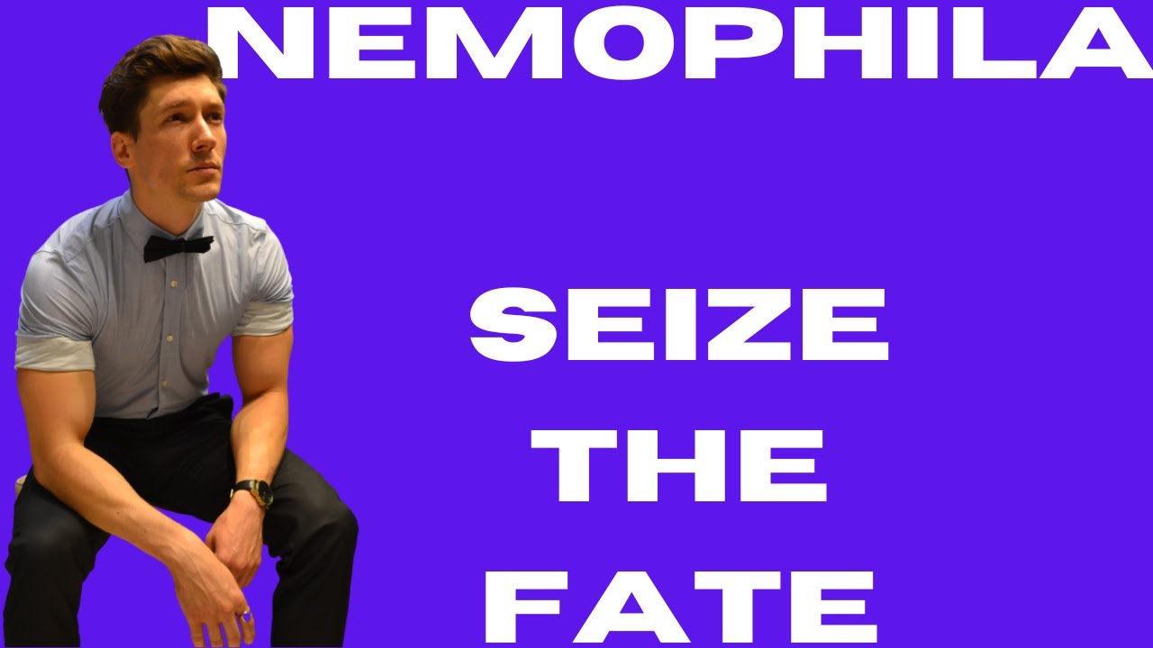 NEMOPHILA - Seize the Fate - Drummer Reacts